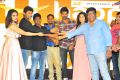 Neevevaro Movie Audio Launch Stills