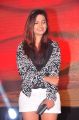 Actress Neha Deshpande Photos at Dil Deewana Audio Release