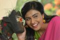 Sagaptham Movie Actress Neha Hinge Stills