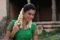 Sagaptham Tamil Movie Actress Neha Hinge Stills