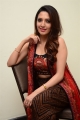 Actress Neha Shetty Photos @ Gully Rowdy First Look Launch