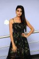 Actress Neha Solanki New Pics @ 90 ML Movie Success Meet