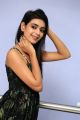 Actress Neha Solanki New Pics @ 90 ML Movie Success Meet