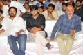 Nela Ticket Audio Launch Stills