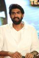 Actor Rana Daggubati @ Nene Raju Nene Mantri Jogendra Yuvagarjana Photos