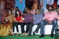 Nenem Chinna Pillana Audio Release Photos