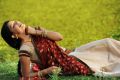 Actress Tanvi Vyas in Nenem Chinna Pillana Telugu Movie Stills