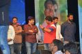 Nenu Local Audio Release Function Stills