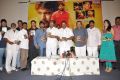 Nenu Nene Ramune Movie Audio Launch Photos