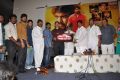 Nenu Nene Ramune Movie Audio Launch Stills