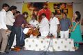 Nenu Nene Ramune Movie Audio Launch Photos