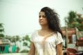 Actress Piaa Bajpai in Nerungi Vaa Muthamidathe Movie Stills