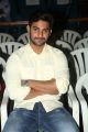 Actor Aadi @ Next Nuvve Movie Trailer Launch Stills