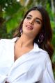 Actress Niddhi Agerwal Photos @ iSmart Shankar Success Meet