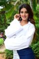 Actress Niddhi Agerwal Photos @ iSmart Shankar Success Meet