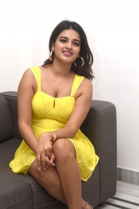 Hero Movie Actress Niddhi Agerwal Interview Photos