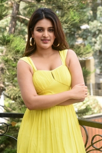 Actress Niddhi Agerwal Photos @ Hero Movie Interview