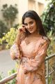 Actress Nidhi Agarwal HD Photoshoot Stills in in Peach Color Dress