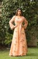 Actress Nidhi Agarwal HD Photoshoot Stills in in Peach Color Dress