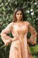 Actress Nidhhi Agerwal HD Photoshoot Stills in Peach Color Dress