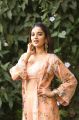Actress Nidhhi Agerwal HD Photoshoot Stills