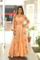 Actress Nidhhi Agerwal HD Photoshoot Stills in Peach Color Dress