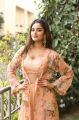 Actress Nidhhi Agerwal HD Photoshoot Stills in Peach Color Dress