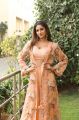 Actress Nidhhi Agerwal HD Photoshoot Stills in Peach Color Dress