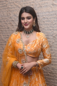 Hero Movie Actress Nidhhi Agerwal Pictures