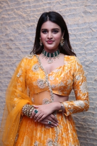 Hero Movie Actress Nidhhi Agerwal Pictures