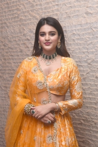 Hero Movie Actress Nidhhi Agerwal Pictures