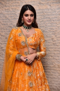 Hero Movie Actress Nidhhi Agerwal Pictures