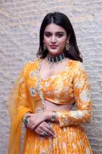 Hero Movie Actress Nidhhi Agerwal Pictures