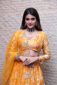 Hero Movie Actress Nidhhi Agerwal Pictures