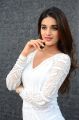 Actress Nidhhi Agerwal Latest Photos at Mr Majnu Movie Interview