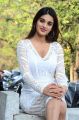 Mr Majnu Movie Actress Nidhhi Agerwal Latest Photos