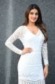 Actress Nidhhi Agerwal Latest Photos at Mr Majnu Movie Interview