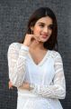 Actress Nidhhi Agerwal Latest Photos at Mr Majnu Movie Interview