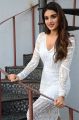 Mr Majnu Movie Actress Nidhhi Agerwal Latest Photos