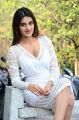 Mr Majnu Movie Actress Nidhhi Agerwal Latest Photos