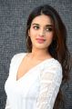 Mr Majnu Movie Actress Nidhhi Agerwal Latest Photos