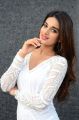 Actress Nidhhi Agerwal Latest Photos at Mr Majnu Movie Interview