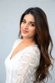 Actress Nidhi Agarwal Latest Photos at Mr Majnu Movie Interview