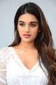 Actress Nidhhi Agerwal Latest Photos at Mr Majnu Movie Interview