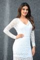 Actress Nidhhi Agerwal Latest Photos at Mr Majnu Movie Interview