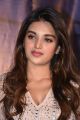 Actress Nidhhi Agerwal New Images @ Mr Majnu Movie Success Meet