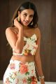 Actress Nidhhi Agerwal Photos @ iSmart Shankar Movie Promotions