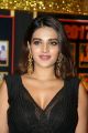 Actress Nidhhi Agerwal Pics @ Sakshi Excellence Awards 2018 Red Carpet