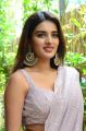 Actress Nidhhi Agerwal Saree Pics @ iSmart Shankar Movie Interview