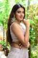 Actress Nidhhi Agerwal Saree Pics @ iSmart Shankar Movie Interview